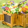 Wisdom Root Viewing Planter