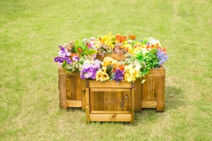 Wisdom Root Viewing Planter