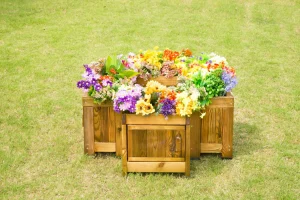 Wisdom Root Viewing Planter