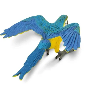 Safari Blue & Gold Macaw