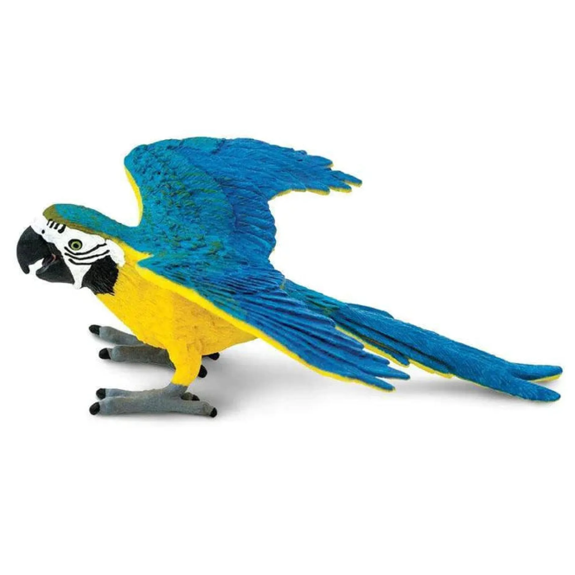 safari_blue_amp_gold_maca_7.webp Safari Blue & Gold Macaw
