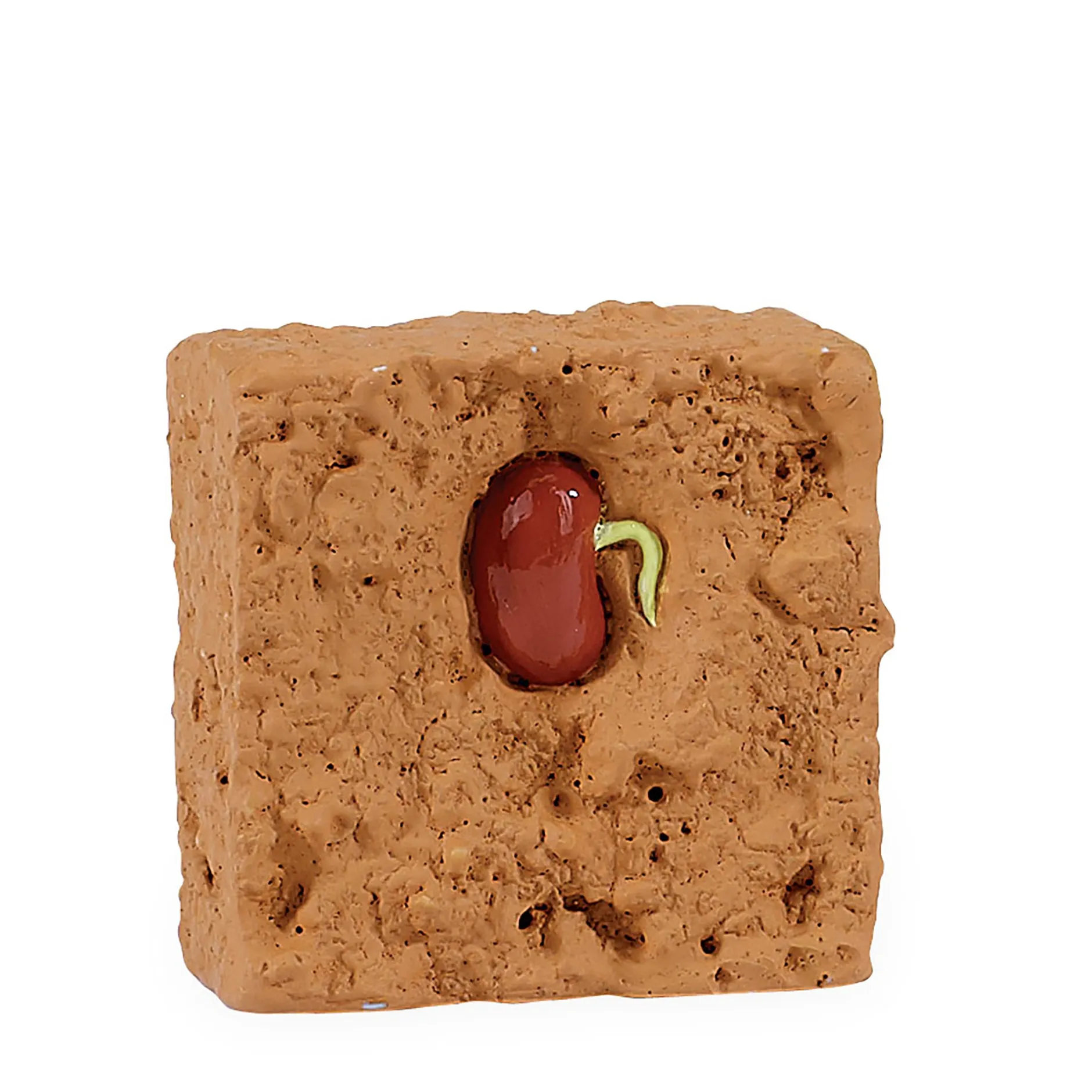 safari_life_cycle_of_a_gr_1.webp Educational Toys Safari Life Cycle of a Green Bean Plant