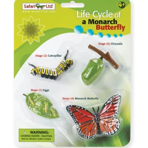 Educational Toys Safari Life Cycle of a Monarch Butterfly