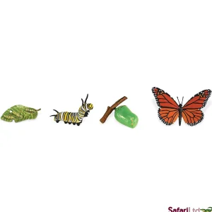 Educational Toys Safari Life Cycle of a Monarch Butterfly