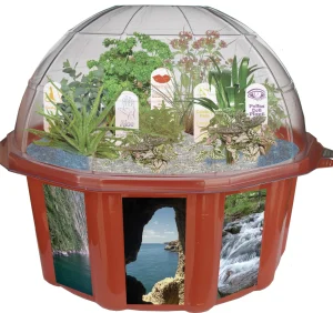 Silvercircle Sensory Eco-Biosphere Plant Dome with 5 Different Seeds