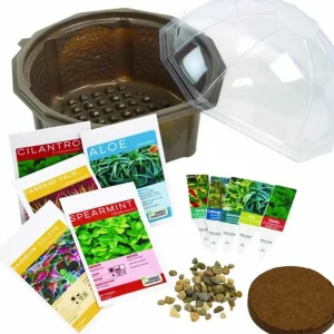Silvercircle Sensory Eco-Biosphere Plant Dome with 5 Different Seeds