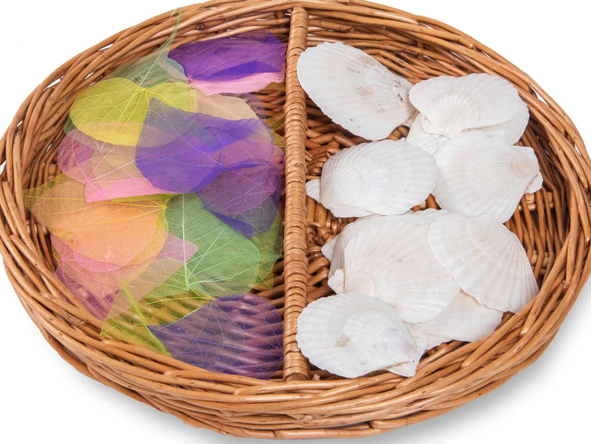 sorting_baskets_to_learn_1.webp Educational Toys 5 Sorting Baskets to Learn Fractions
