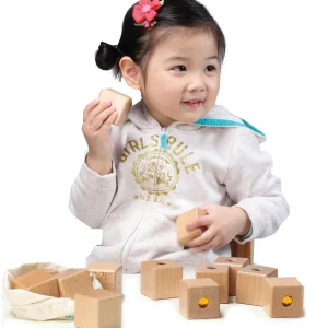 Educational Toys Sound Matching Blocks