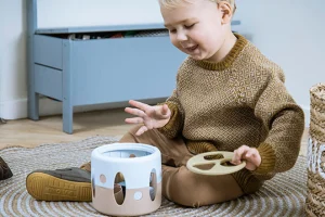 Educational Toys Tiny Bio Shape Sorter