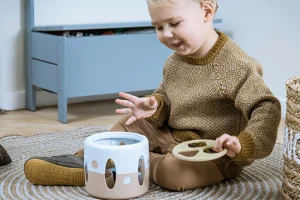 Educational Toys Tiny Bio Shape Sorter