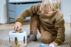 Educational Toys Tiny Bio Shape Sorter