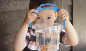 Dantoy Transparent Bucket