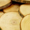 Educational Toys Tree Trunk Slices - 15Cm (Pack Of 10)