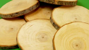 Educational Toys Tree Trunk Slices - 15Cm (Pack Of 10)