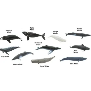 Safari Whales and Dolphins Toob