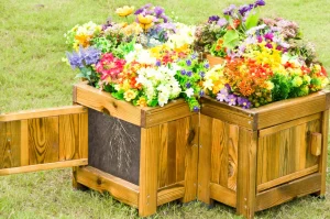 Wisdom Root Viewing Planter